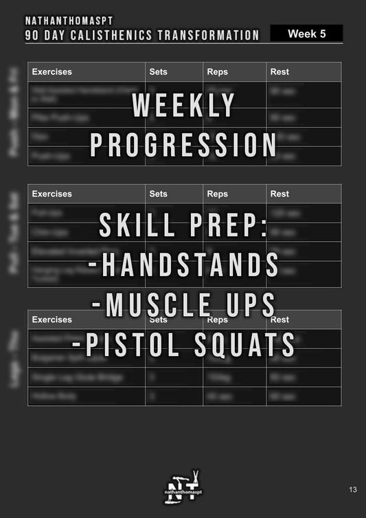 90 Day Calisthenics Transformation