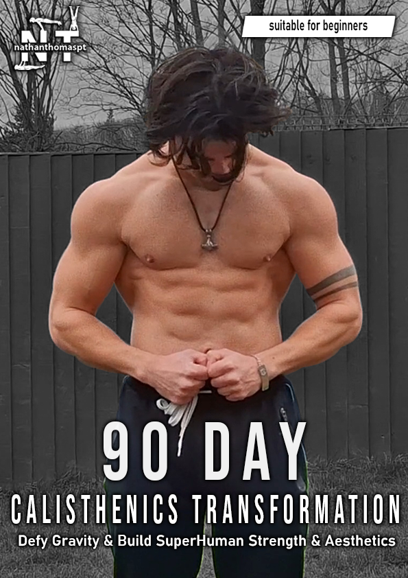 90 Day Calisthenics Transformation