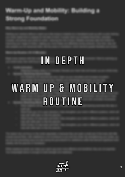 90 Day Calisthenics Transformation