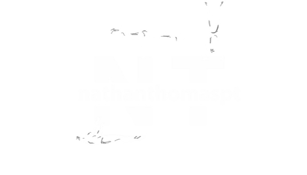 nathanthomaspt